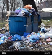 Reliable Sealy, TX Junk Removal Services Solutions