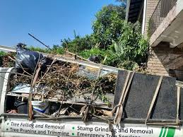 Best Estate Cleanout  in Sealy, TX
